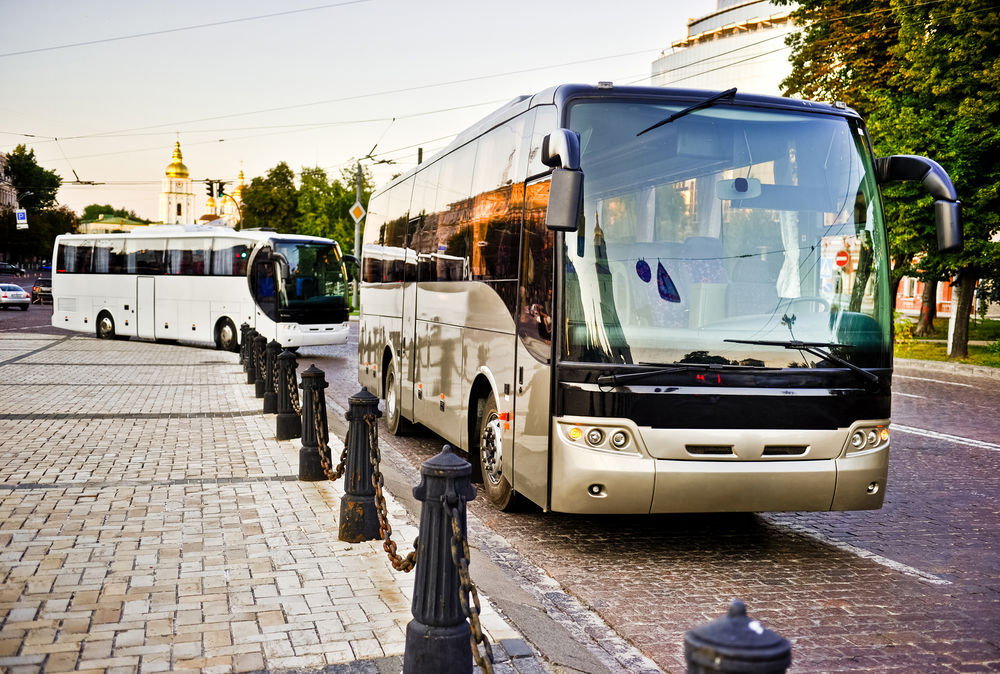 White and gray bus on the road