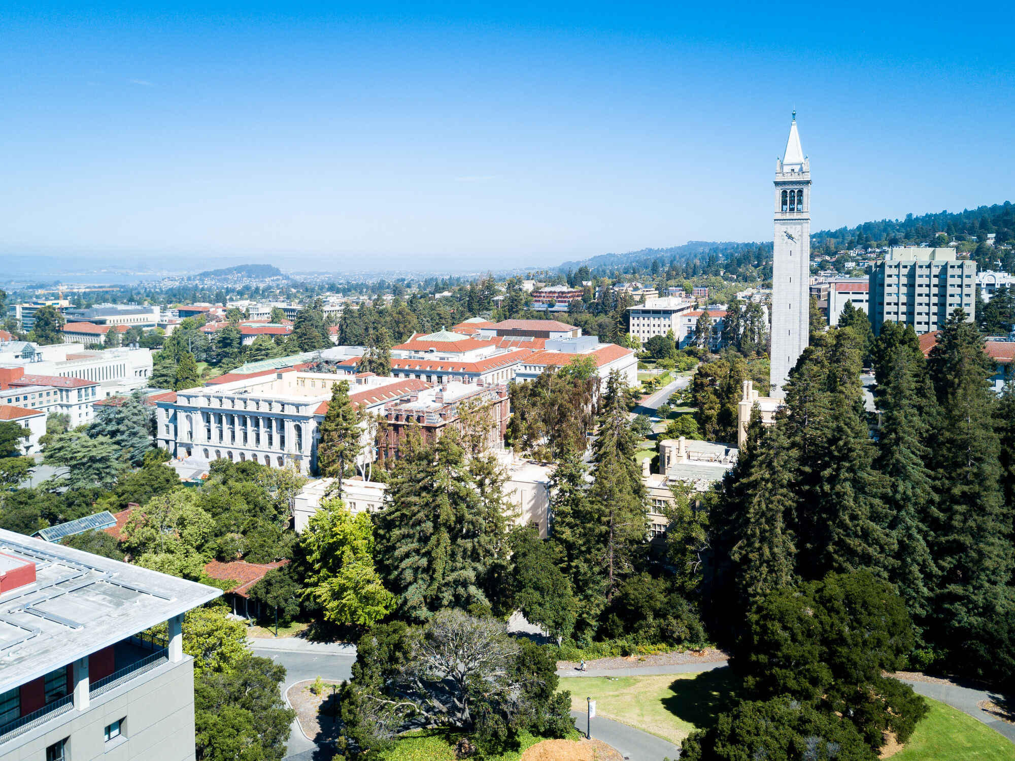 Berkeley university