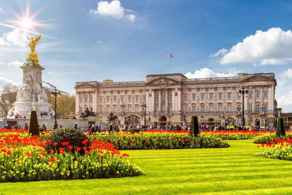 buckingham palace- near the tracoin office