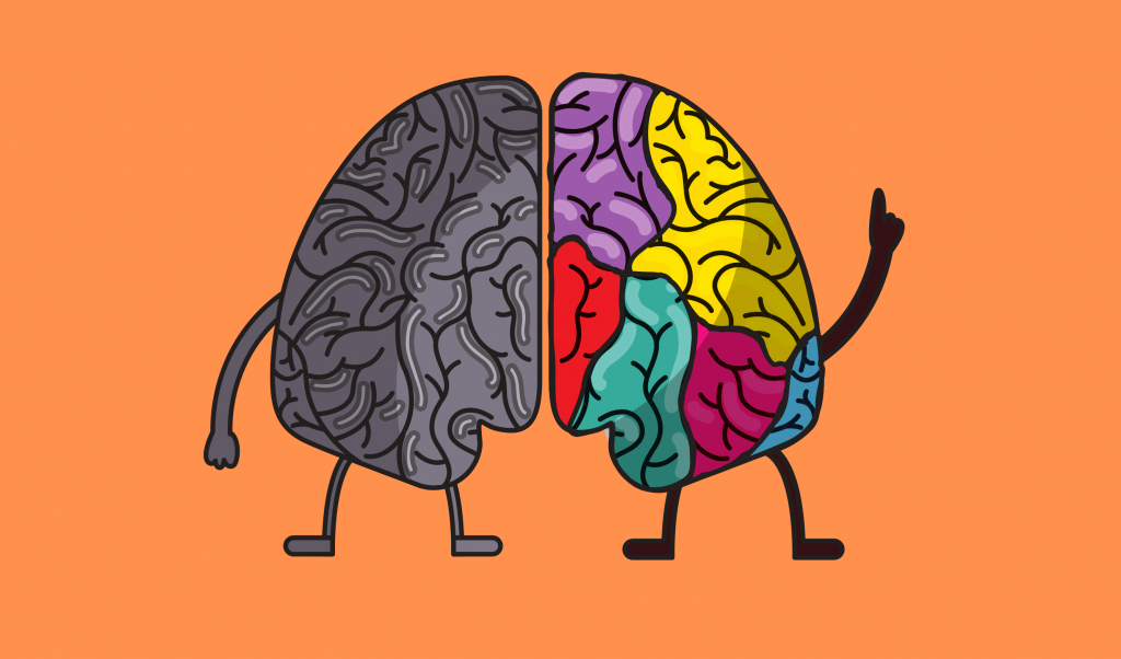 colorful brain - neuromarketing